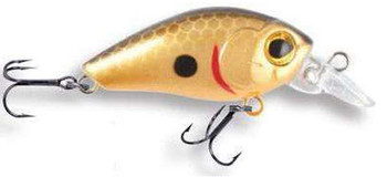 Wobler Robinson Arnie