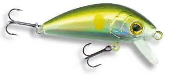 Wobler Robinson Fluppy