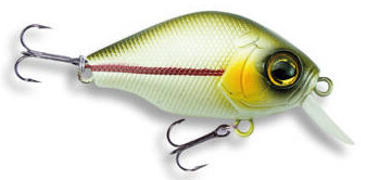 Wobler Robinson Dumpy