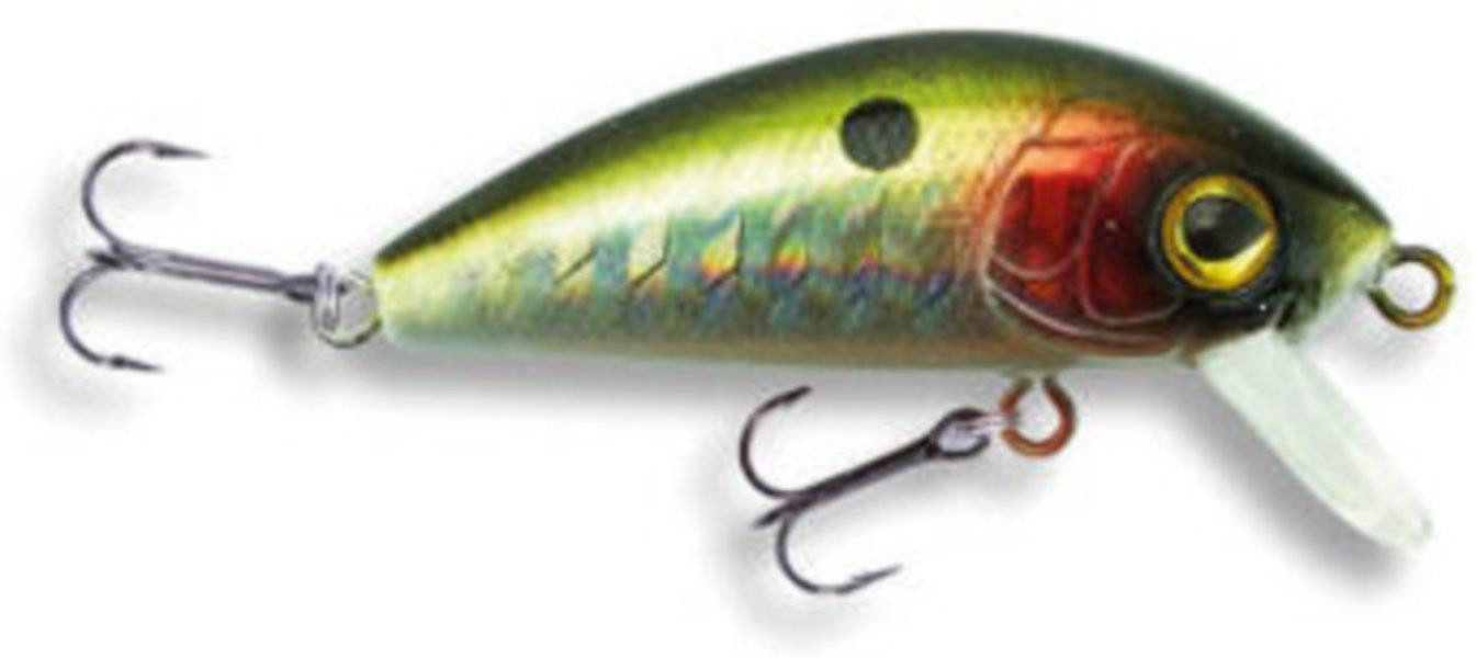 Wobler Robinson Fluppy