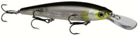 Clearwater Minnow