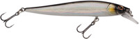Baitfish
