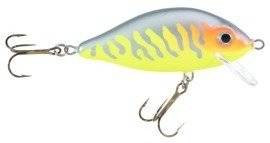 Woblery Jaxon HS Karaś