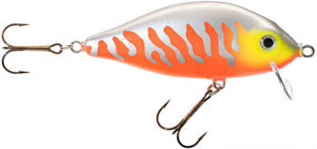 Wobler Jaxon Holo Select Karaś SW