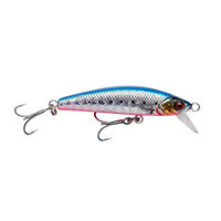 Pink Belly Sardine