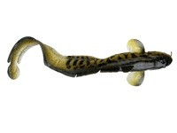 Burbot