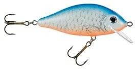 Woblery Jaxon HS Karaś