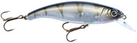 UV Striped Shiner