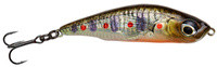 Brown Trout Smolt