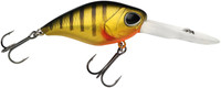 Matt Perch