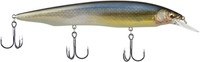 Dd Silver Shad
