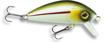 Wobler Robinson Fluppy