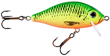 Wobler Jaxon HS Karaś SW