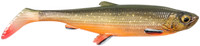 Arctic Char