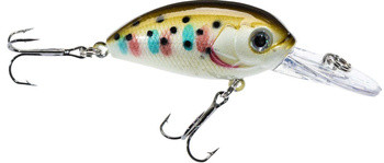 Wobler Jaxon Atract Aris