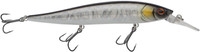 Baitfish