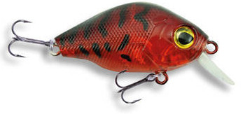 Wobler Robinson Dumpy