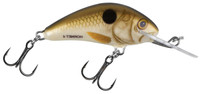 Pearl Shad