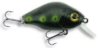 Wobler Robinson Dumpy