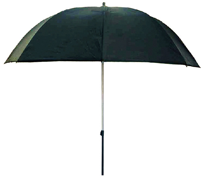 Parasol Konger