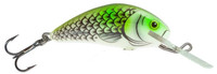 Olive Hot Spot