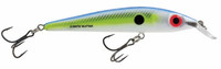 Sexy Shad