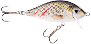 Wobler Jaxon HS Karaś SW