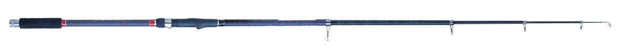 Wędka Robinson Carbonic T-Carp
