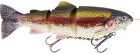 Real Rainbow Trout