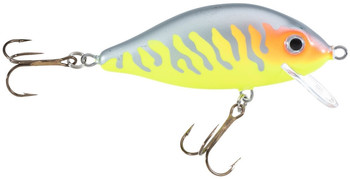 Wobler Jaxon HS Karaś