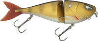 Golden Zander