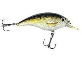 Woblery Jaxon Atract XXT-B