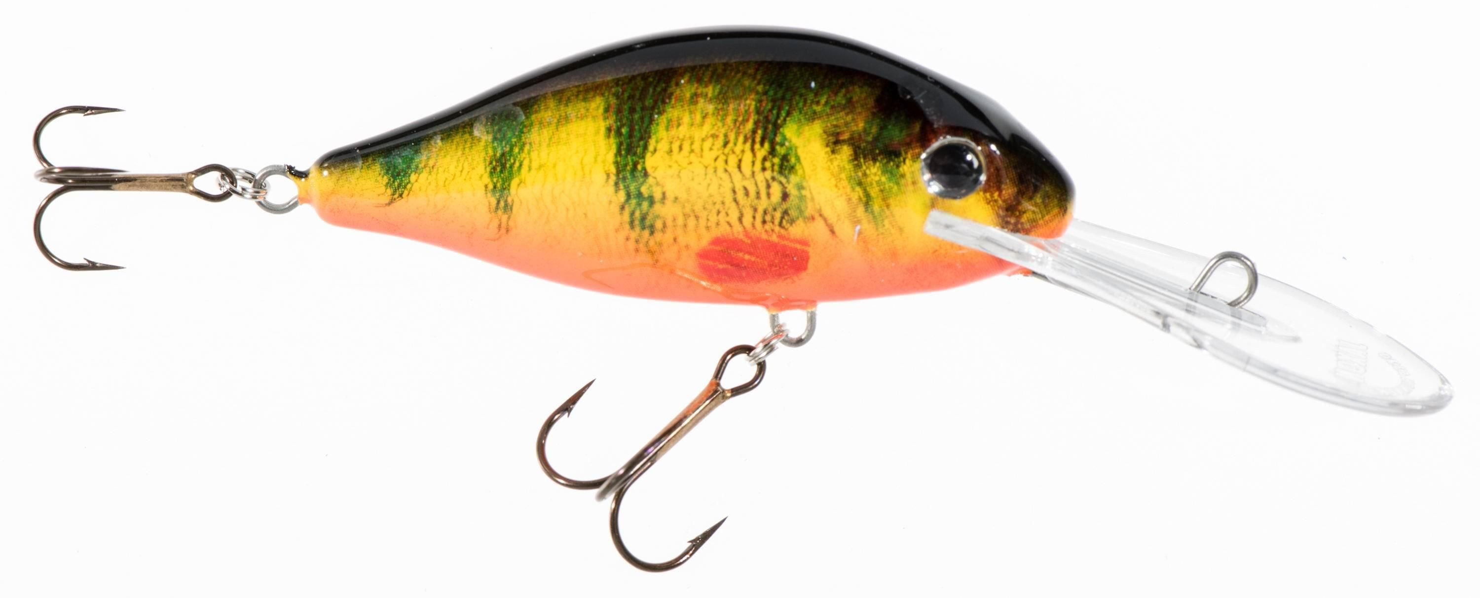 Woblery Jaxon HS Fighter