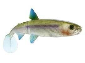 Kopyto Westin HypoTeez