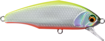 Wobler Smith D-Incite