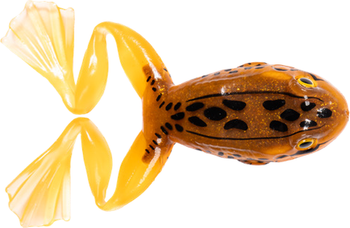 Guma żaba LIVE TARGET Freestyle Frog 2.0