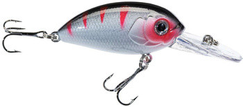 Wobler Jaxon Atract Aris