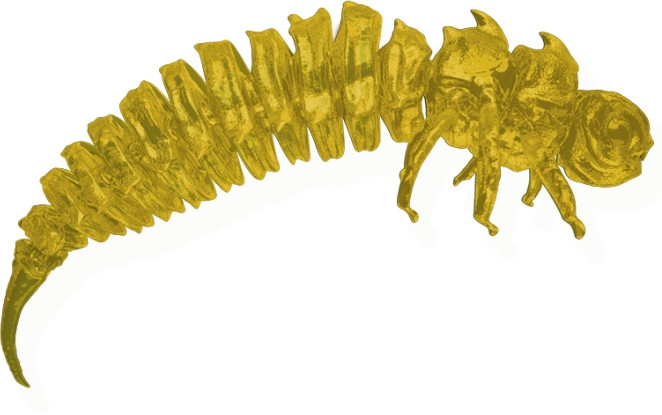 Guma spinningowa Qubi Lures Bigfatbug