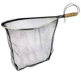 Podbierak muchowy Konger