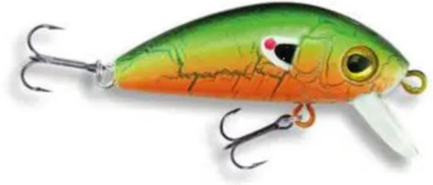Wobler Robinson Fluppy