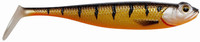 Golden Shiner UV