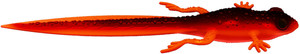 Przynęta gumowa Libra Frog Tadpole Tail