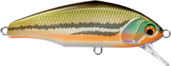 Wobler Smith D-Incite