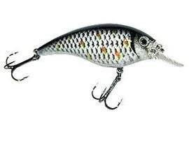 Woblery Jaxon Atract XXT-B