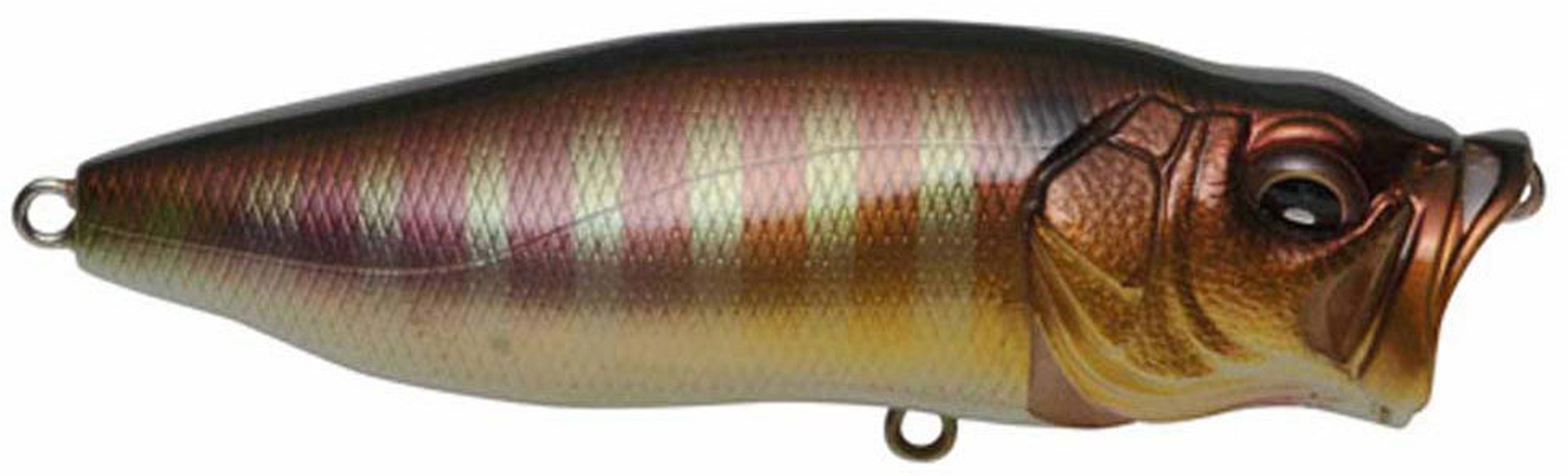 Popper Megabass PopMax F