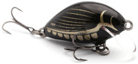 Diving Beetle
