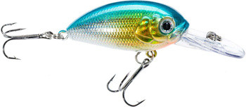 Wobler Jaxon Atract Aris