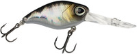 Baitfish