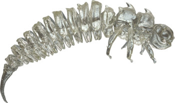 Guma spinningowa Qubi Lures Bigfatbug