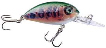 Wobler Jaxon Atract Aris